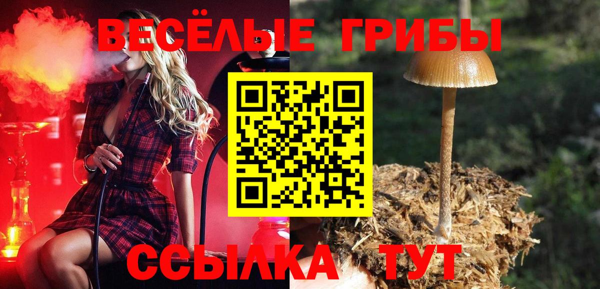 Псилоцибиновые грибы Psilocybine cubensis Спасск-Дальний